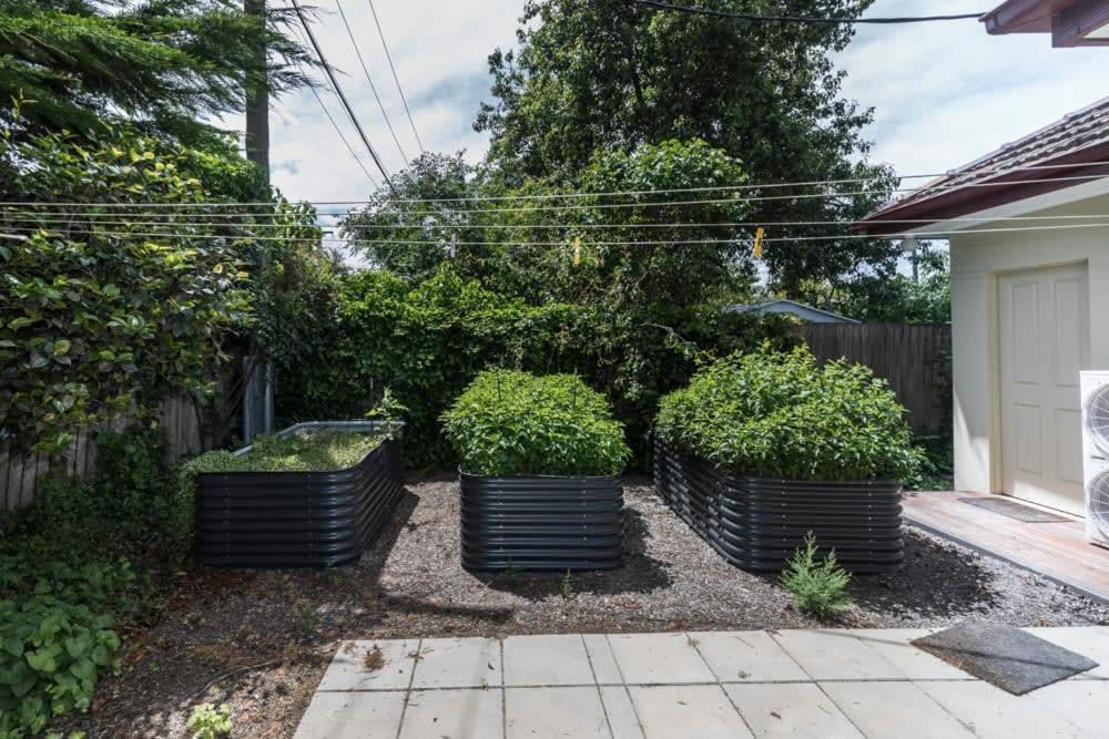 3 Bdrm 2 Bthrm House Close To Canberra Cbd & Anu Ngoại thất bức ảnh